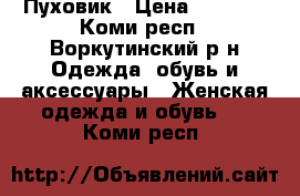 Пуховик › Цена ­ 3 100 - Коми респ., Воркутинский р-н Одежда, обувь и аксессуары » Женская одежда и обувь   . Коми респ.